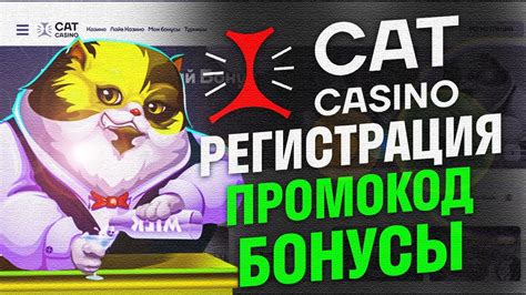 Казино cat промокод