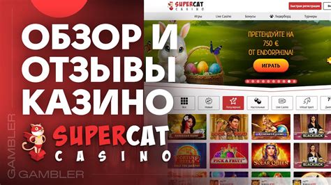 Казино supercat зеркало