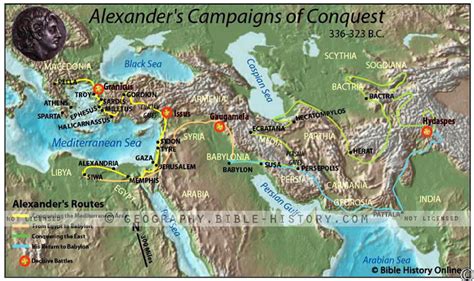 Alexander S Conquest Bet365