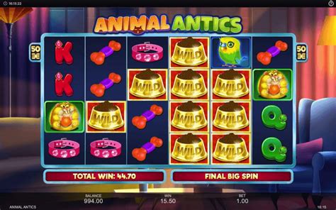 Animal Antics Slot Gratis