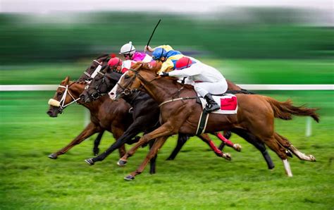 Apostas Em Corridas De Cavalos Ponta Grossa