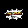 Big Tease Bingo Casino Guatemala