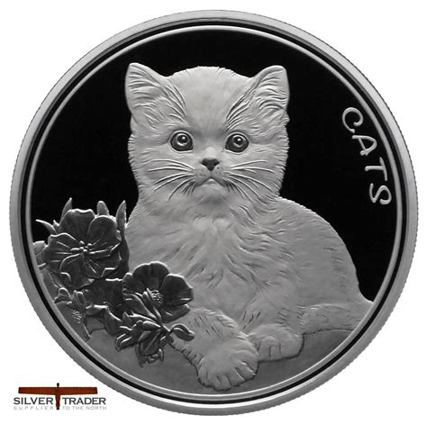 Coin Cat Review 2024