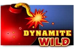 Dynamite Wild Blaze