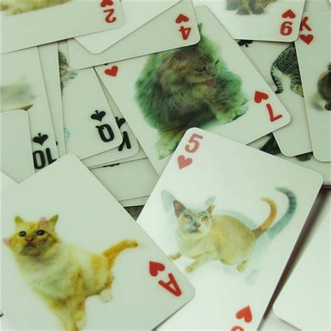 Gato De Poker Trocadilhos