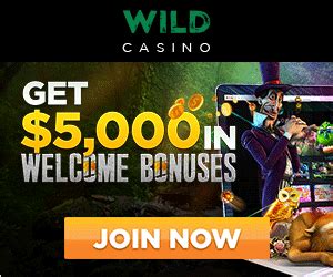 Go Wild Casino Online