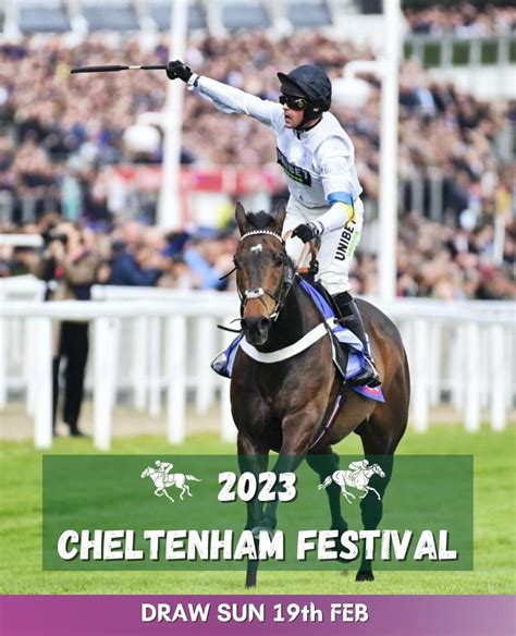 Jogo Guru Cheltenham Festival