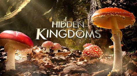 Jogue Hidden Kingdom Online