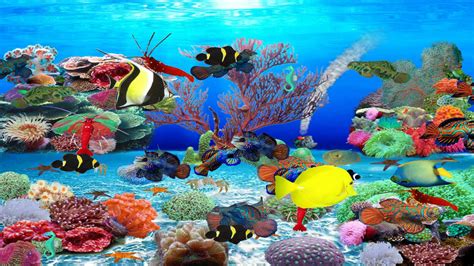 Jogue Tropical Aquarium Online