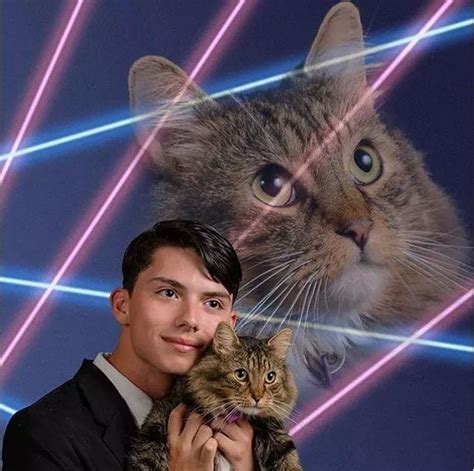 Laser Cats Netbet