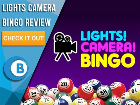 Lights Camera Bingo Casino App
