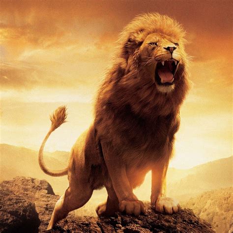 Lion S Roar Betano