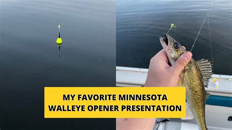 Mn Walleye Slot 2024