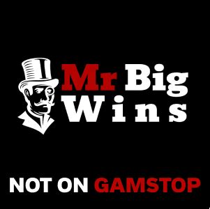 Mr Big Wins Casino Bonus