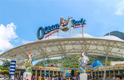 Ocean Park Bet365