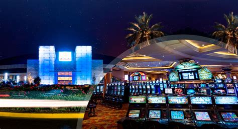 Paradisegames Casino Chile