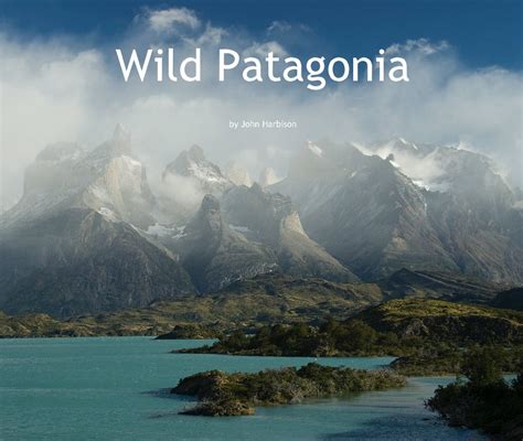 Patagonia Wild Blaze