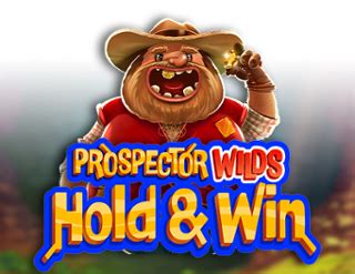 Prospector Wilds Hold And Win Betfair