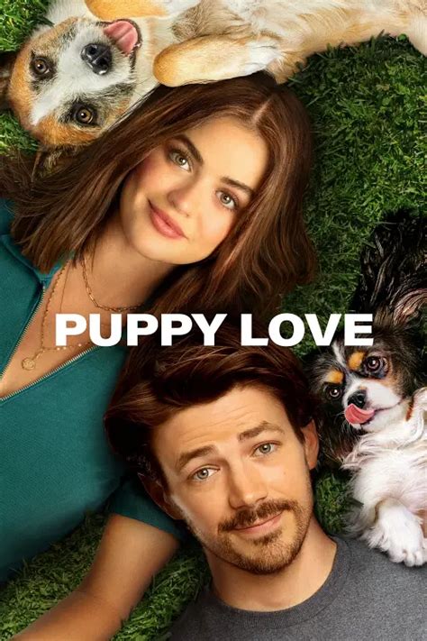 Puppy Love Review 2024