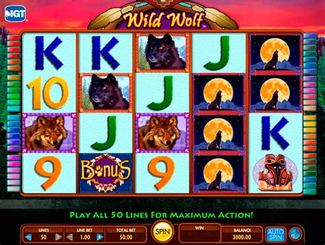 Slots De Wild Wolf