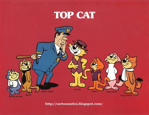 Top Cat Bodog