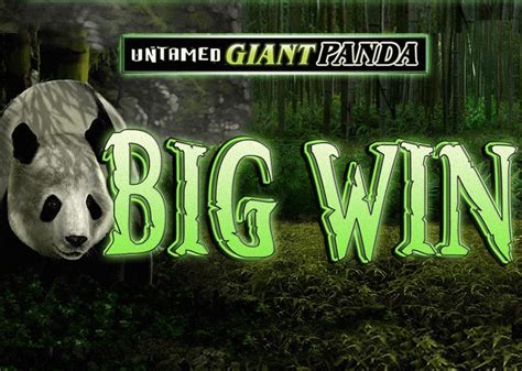 Untamed Giant Panda Betsul