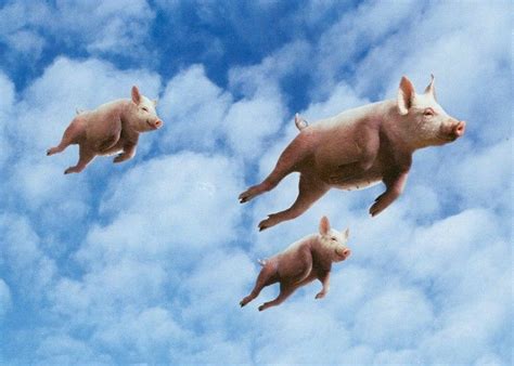 When Pigs Fly Leovegas