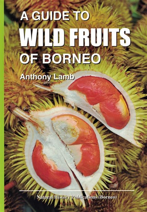 Wild Fruit Review 2024
